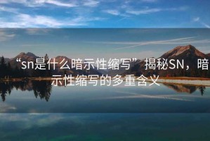 “sn是什么暗示性縮寫(xiě)”揭秘SN，暗示性縮寫(xiě)的多重含義