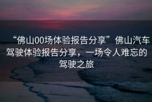 “佛山00場(chǎng)體驗報告分享”佛山汽車(chē)駕駛體驗報告分享，一場(chǎng)令人難忘的駕駛之旅