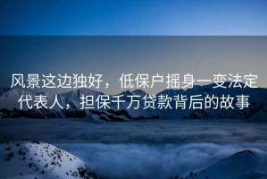 風(fēng)景這邊獨好，低保戶(hù)搖身一變法定代表人，擔保千萬(wàn)貸款背后的故事