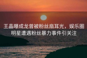 王晶曝成龍曾被粉絲扇耳光，娛樂(lè )圈明星遭遇粉絲暴力事件引關(guān)注