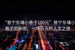 “普寧東埔小巷子100元”普寧東埔小巷子的秘密，一場(chǎng)百元的人文之旅