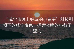 “咸寧市晚上好玩的小巷子”科技引領(lǐng)下的咸寧夜色，探索夜晚的小巷子魅力