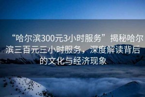 “哈爾濱300元3小時(shí)服務(wù)”揭秘哈爾濱三百元三小時(shí)服務(wù)，深度解讀背后的文化與經(jīng)濟現象