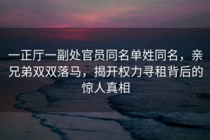 一正廳一副處官員同名單姓同名，親兄弟雙雙落馬，揭開(kāi)權力尋租背后的驚人真相