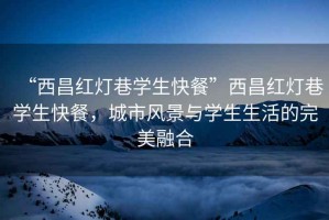 “西昌紅燈巷學(xué)生快餐”西昌紅燈巷學(xué)生快餐，城市風(fēng)景與學(xué)生生活的完美融合