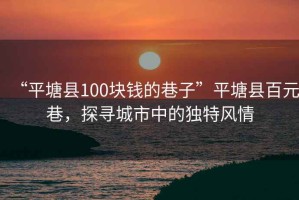 “平塘縣100塊錢(qián)的巷子”平塘縣百元巷，探尋城市中的獨特風(fēng)情