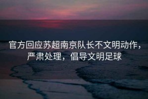 官方回應蘇超南京隊長(cháng)不文明動(dòng)作，嚴肅處理，倡導文明足球
