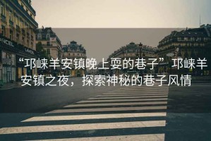 “邛崍羊安鎮晚上耍的巷子”邛崍羊安鎮之夜，探索神秘的巷子風(fēng)情