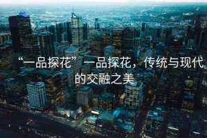 “一品探花”一品探花，傳統與現代的交融之美