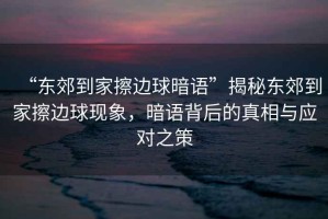 “東郊到家擦邊球暗語(yǔ)”揭秘東郊到家擦邊球現象，暗語(yǔ)背后的真相與應對之策
