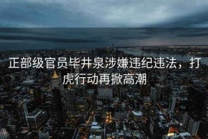 正部級官員畢井泉涉嫌違紀違法，打虎行動(dòng)再掀高潮