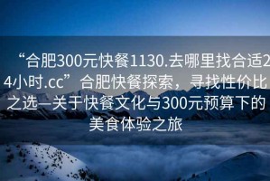 “合肥300元快餐1130.去哪里找合適24小時(shí).cc”合肥快餐探索，尋找性?xún)r(jià)比之選—關(guān)于快餐文化與300元預算下的美食體驗之旅