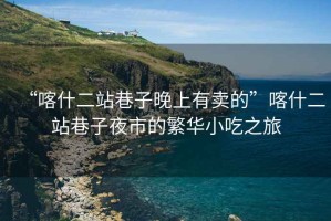 “喀什二站巷子晚上有賣(mài)的”喀什二站巷子夜市的繁華小吃之旅