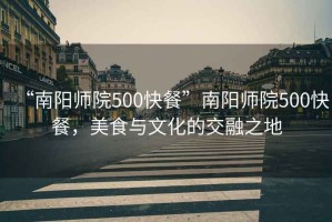 “南陽(yáng)師院500快餐”南陽(yáng)師院500快餐，美食與文化的交融之地