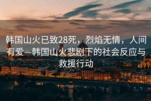 韓國山火已致28死，烈焰無(wú)情，人間有愛(ài)—韓國山火悲劇下的社會(huì )反應與救援行動(dòng)
