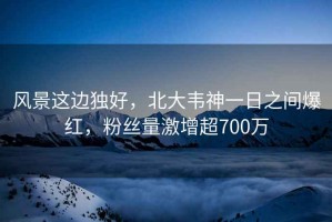 風(fēng)景這邊獨好，北大韋神一日之間爆紅，粉絲量激增超700萬(wàn)