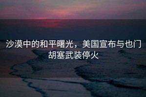 沙漠中的和平曙光，美國宣布與也門(mén)胡塞武裝?；? title=