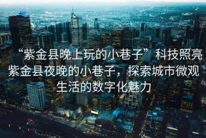 “紫金縣晚上玩的小巷子”科技照亮紫金縣夜晚的小巷子，探索城市微觀(guān)生活的數字化魅力
