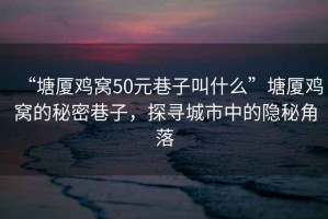 “塘廈雞窩50元巷子叫什么”塘廈雞窩的秘密巷子，探尋城市中的隱秘角落