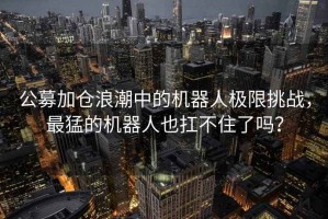 公募加倉浪潮中的機器人極限挑戰，最猛的機器人也扛不住了嗎？