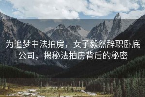 為追夢(mèng)中法拍房，女子毅然辭職臥底公司，揭秘法拍房背后的秘密