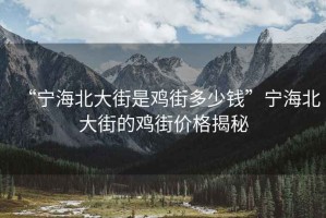 “寧海北大街是雞街多少錢(qián)”寧海北大街的雞街價(jià)格揭秘