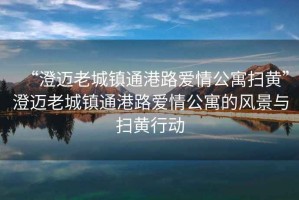 “澄邁老城鎮通港路愛(ài)情公寓掃黃”澄邁老城鎮通港路愛(ài)情公寓的風(fēng)景與掃黃行動(dòng)
