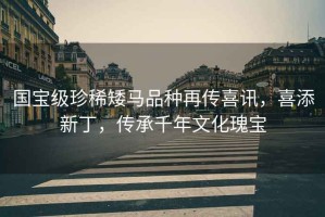 國寶級珍稀矮馬品種再傳喜訊，喜添新丁，傳承千年文化瑰寶