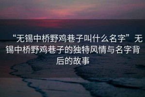 “無(wú)錫中橋野雞巷子叫什么名字”無(wú)錫中橋野雞巷子的獨特風(fēng)情與名字背后的故事