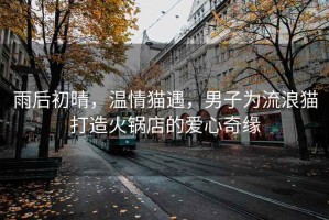 雨后初晴，溫情貓遇，男子為流浪貓打造火鍋店的愛(ài)心奇緣