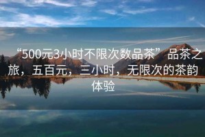 “500元3小時(shí)不限次數品茶”品茶之旅，五百元，三小時(shí)，無(wú)限次的茶韻體驗