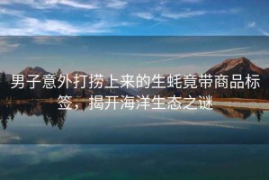 男子意外打撈上來(lái)的生蠔竟帶商品標簽，揭開(kāi)海洋生態(tài)之謎