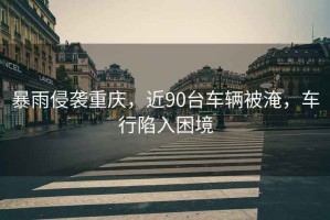 暴雨侵襲重慶，近90臺車(chē)輛被淹，車(chē)行陷入困境