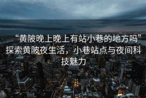 “黃陂晚上晚上有站小巷的地方嗎”探索黃陂夜生活，小巷站點(diǎn)與夜間科技魅力