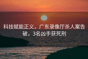 科技賦能正義，廣東錄像廳殺人案告破，3名兇手獲死刑