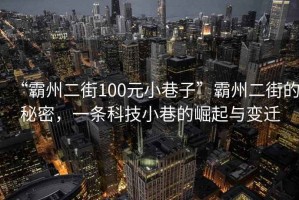“霸州二街100元小巷子”霸州二街的秘密，一條科技小巷的崛起與變遷