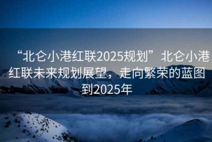 “北侖小港紅聯(lián)2025規劃”北侖小港紅聯(lián)未來(lái)規劃展望，走向繁榮的藍圖到2025年