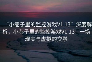 “小巷子里的監控游戲V1.13”深度解析，小巷子里的監控游戲V1.13—一場(chǎng)現實(shí)與虛擬的交融