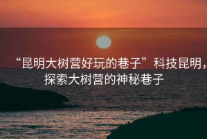 “昆明大樹(shù)營(yíng)好玩的巷子”科技昆明，探索大樹(shù)營(yíng)的神秘巷子