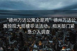 “德州萬(wàn)達公寓全是雞”德州萬(wàn)達公寓驚現大規模非法活動(dòng)，相關(guān)部門(mén)緊急介入調查