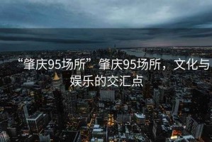 “肇慶95場(chǎng)所”肇慶95場(chǎng)所，文化與娛樂(lè )的交匯點(diǎn)