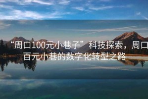 “周口100元小巷子”科技探索，周口百元小巷的數字化轉型之路