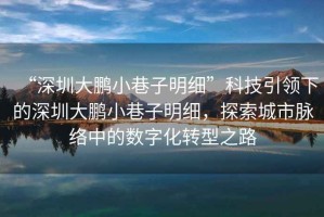 “深圳大鵬小巷子明細”科技引領(lǐng)下的深圳大鵬小巷子明細，探索城市脈絡(luò )中的數字化轉型之路