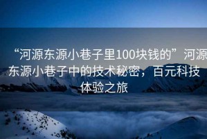 “河源東源小巷子里100塊錢(qián)的”河源東源小巷子中的技術(shù)秘密，百元科技體驗之旅