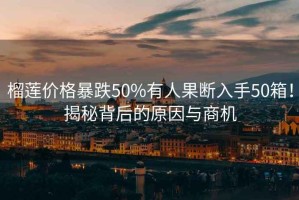 榴蓮價(jià)格暴跌50%有人果斷入手50箱！揭秘背后的原因與商機