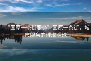 “固原一條街服務(wù)”固原一條街，城市服務(wù)的璀璨明珠