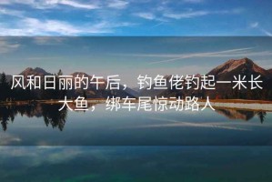 風(fēng)和日麗的午后，釣魚(yú)佬釣起一米長(cháng)大魚(yú)，綁車(chē)尾驚動(dòng)路人