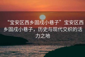“寶安區西鄉固戍小巷子”寶安區西鄉固戍小巷子，歷史與現代交織的活力之地
