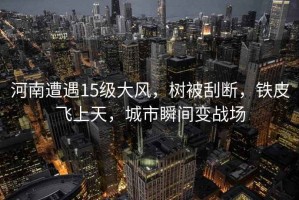 河南遭遇15級大風(fēng)，樹(shù)被刮斷，鐵皮飛上天，城市瞬間變戰場(chǎng)
