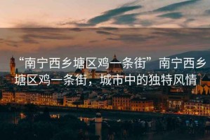 “南寧西鄉塘區雞一條街”南寧西鄉塘區雞一條街，城市中的獨特風(fēng)情